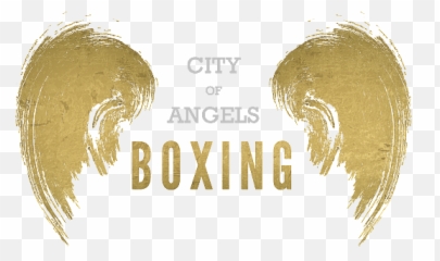 City Of Angels Boxing Logo Png