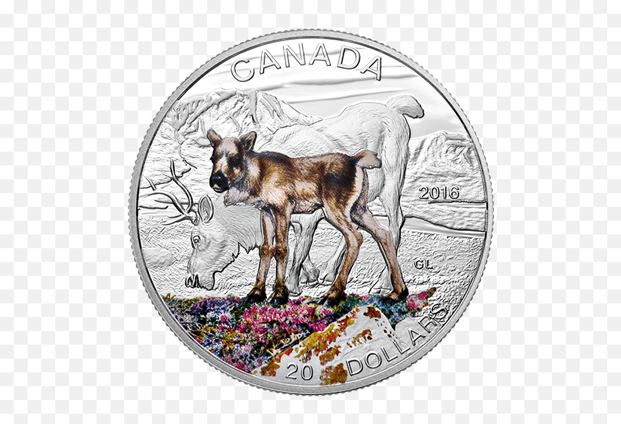 Download Pure Silver Coloured Coin Baby Animals - Roe Deer Canadian Coins With Animals Png,Baby Deer Png