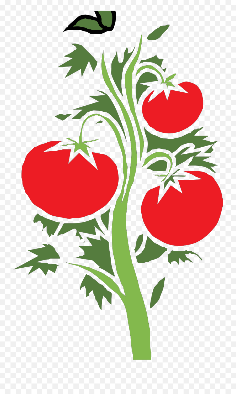 Tomato Plant Svg Vector Clip Art - Svg Clipart Clipart Tomato Plant Vector Png,Tomato Transparent