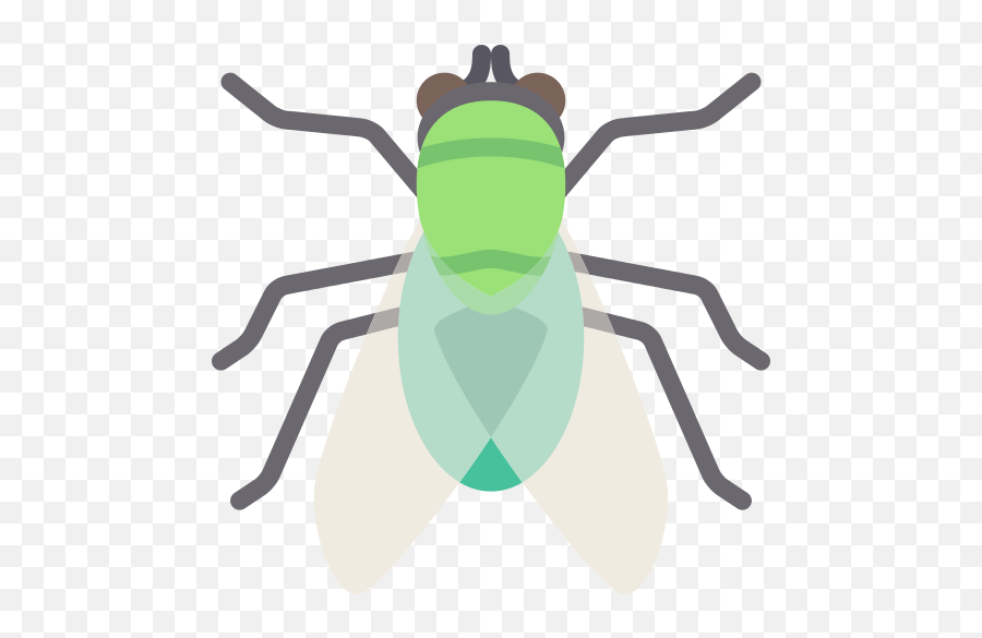 Fly Insect Png Icon - Gambar Lalat Kartun,Fly Png