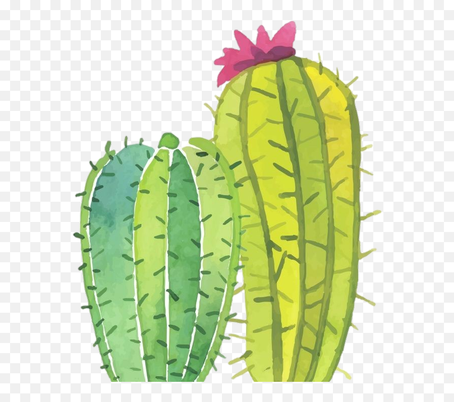 Cactus Png Tumblr - Fondos De Cactus Con Frases,Cute Cactus Png