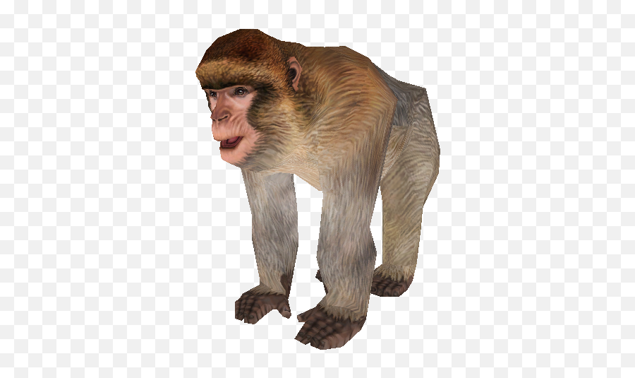 Pc Computer - Zoo Tycoon 2 Barbary Ape Adult The Barbary Ape Zoo Tycoon 2 Png,Ape Png