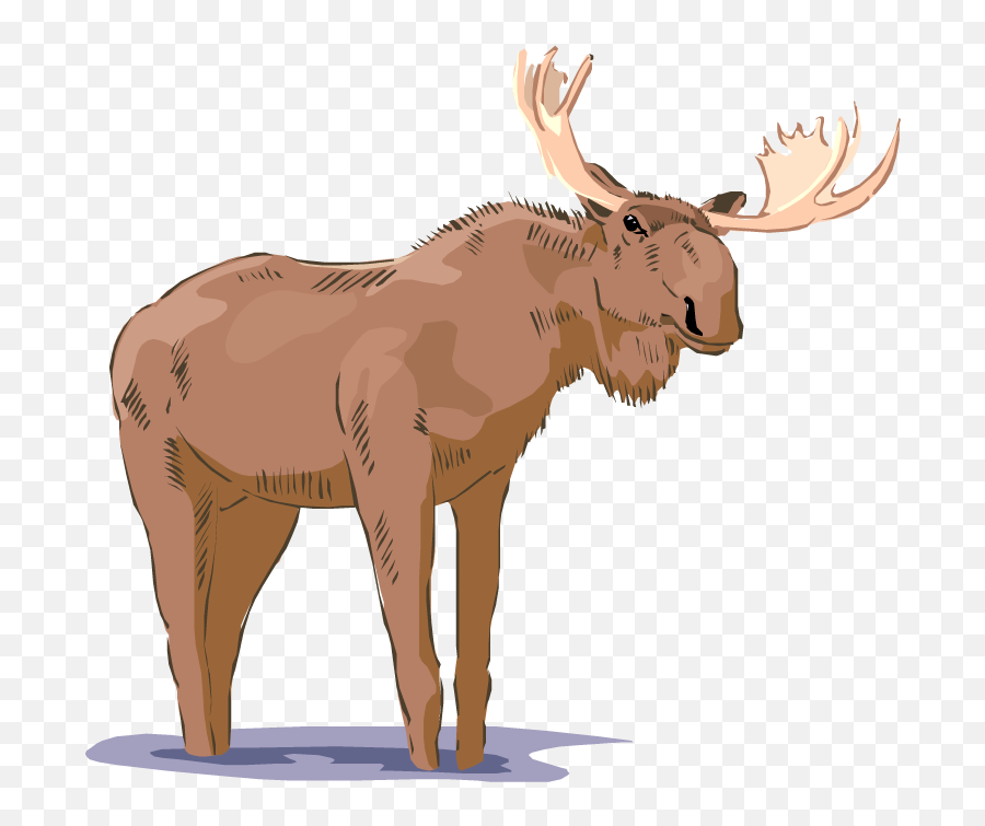 Download Free Moose Png Clipart - Free Moose Clipart,Moose Silhouette Png