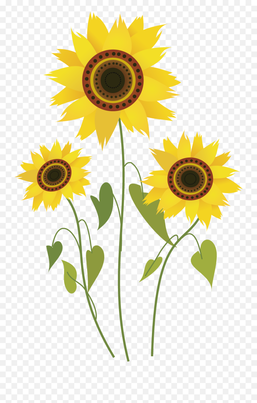 Common Sunflower Drawing Computer File - Sunflower Plant Drawing Png,Sunflowers Png