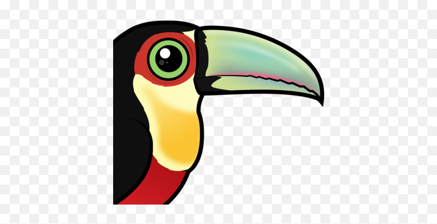 Colorful Red - Breasted Toucan Aka Greenbilled Toucan Toco Toucan Png,Toucan Png