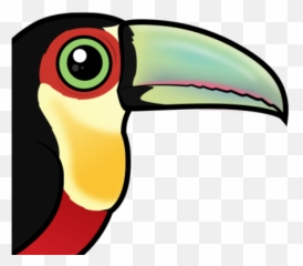 Colorful Red - Breasted Toucan Aka Greenbilled Toucan Toco Toucan Png,Toucan Png