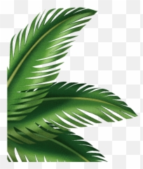 Leaf Arecaceae Clip Art Transprent Png - Palm Tree