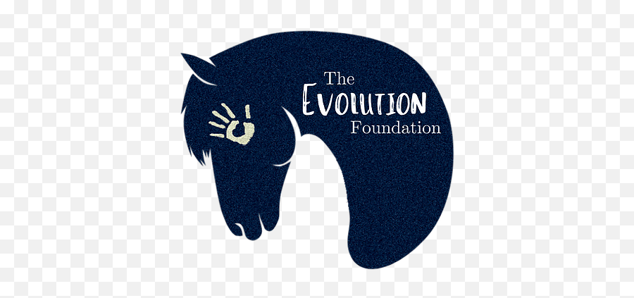 The Evolution Foundation - Soft Png,Evolution Png