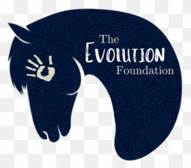 The Evolution Foundation - Soft Png,Evolution Png