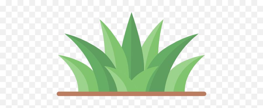 Agave - Transparent Grass Icon Png,Grass Icon