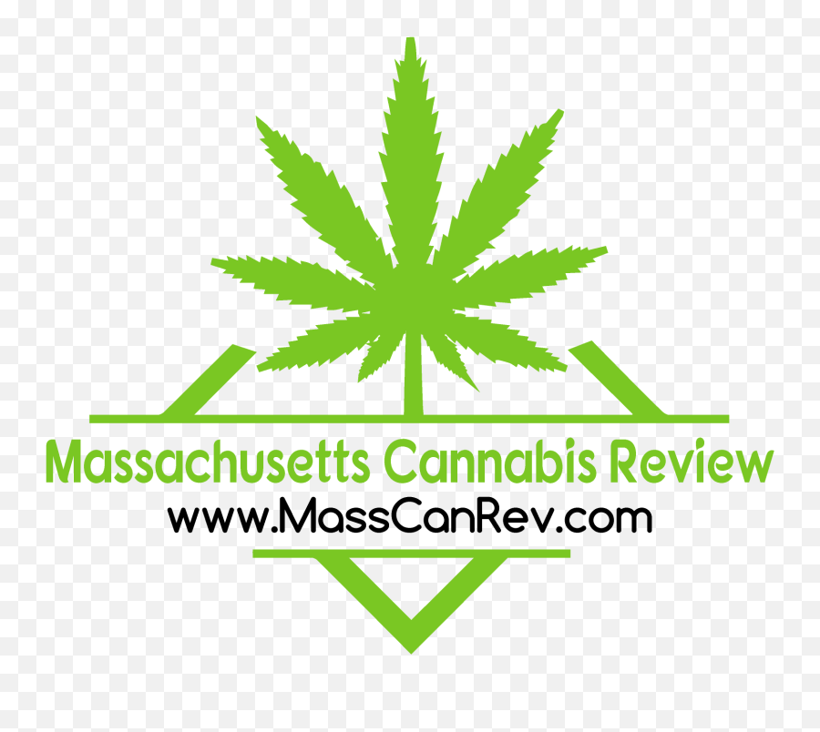Download Hd The Reel Ace Blog - Marijuana Leaf Transparent Marijuana Logo Png,Marijuana Leaf Transparent