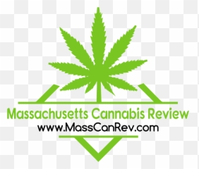 Download Hd The Reel Ace Blog - Marijuana Leaf Transparent Logo png
