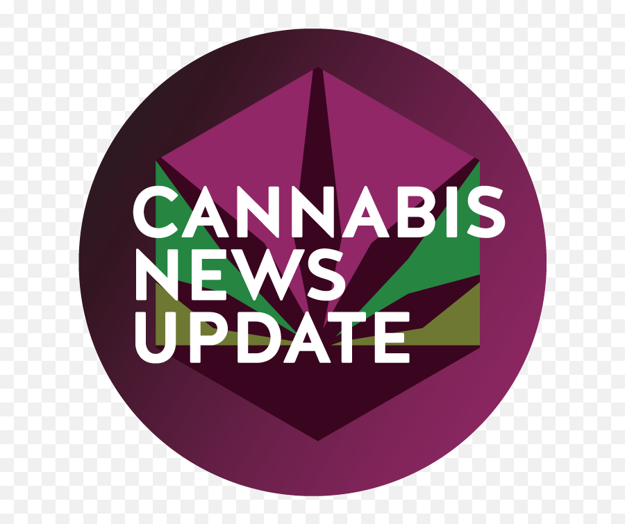 Cannabis News Update Branding - Language Png,Instagram News Icon