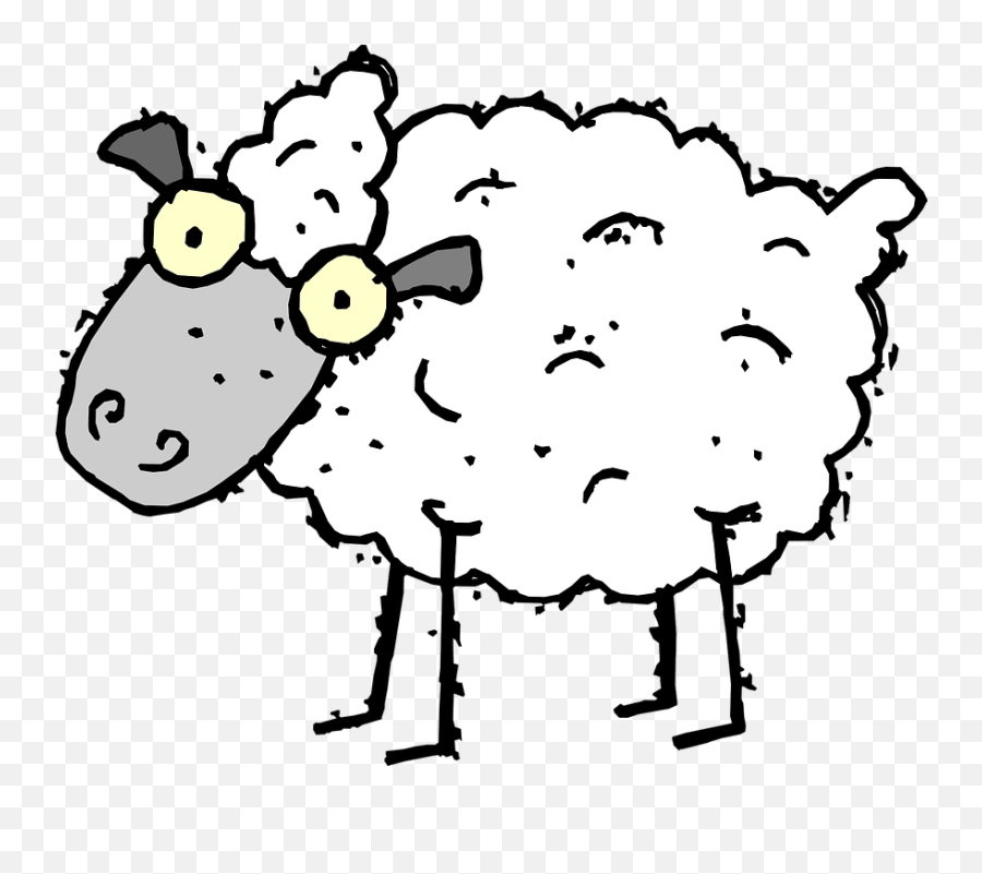 Sheep Eyes Crazy - Stupid Sheep Clipart Png,Crazy Eyes Png