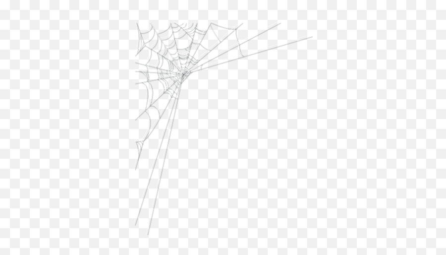 Cobwebs Real Transparent Png Clipart - Spider Web,Cobweb Png