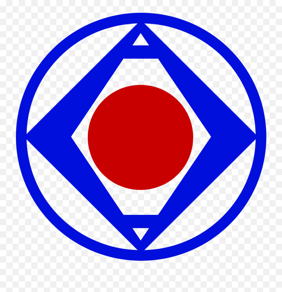 Us Budokai Karate Of Albany - Transnational Financial Services Inc Logo Png,Dragon Dx Red Gradient Icon