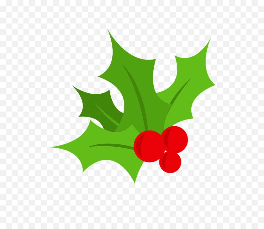 Christmas Tree Berry - Mistletoe Png,Christmas Holly Png