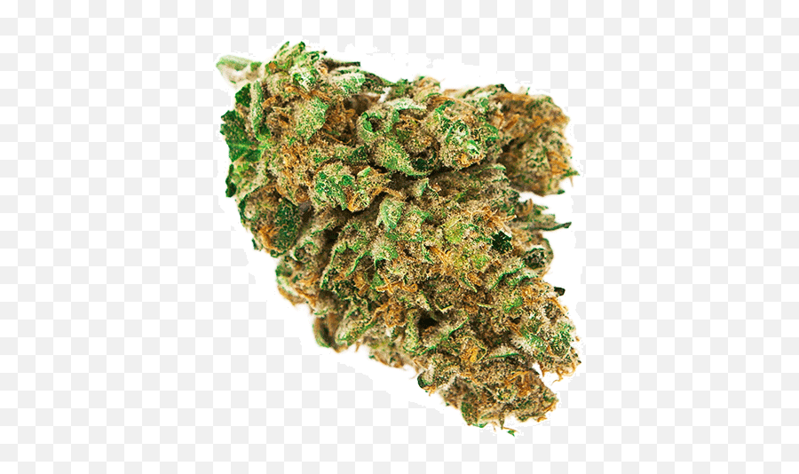 Download Weed Nugget Png - Marijuana Bud Png Png Image With Weed Bud Transparent Background,Weed Transparent Background
