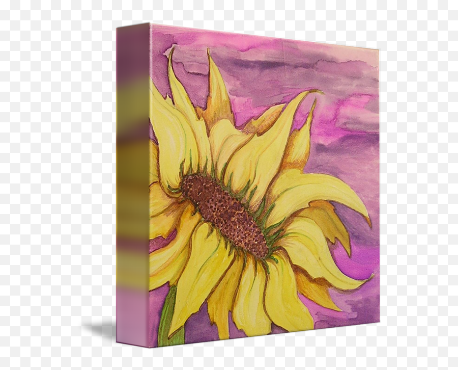 Watercolor Sunflower By Deb Gauthier - Sunflower Png,Watercolor Sunflower Png