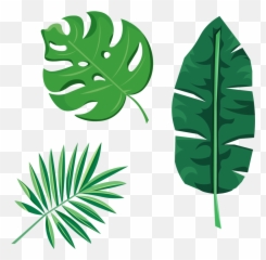 Design Work Allison Minor Png