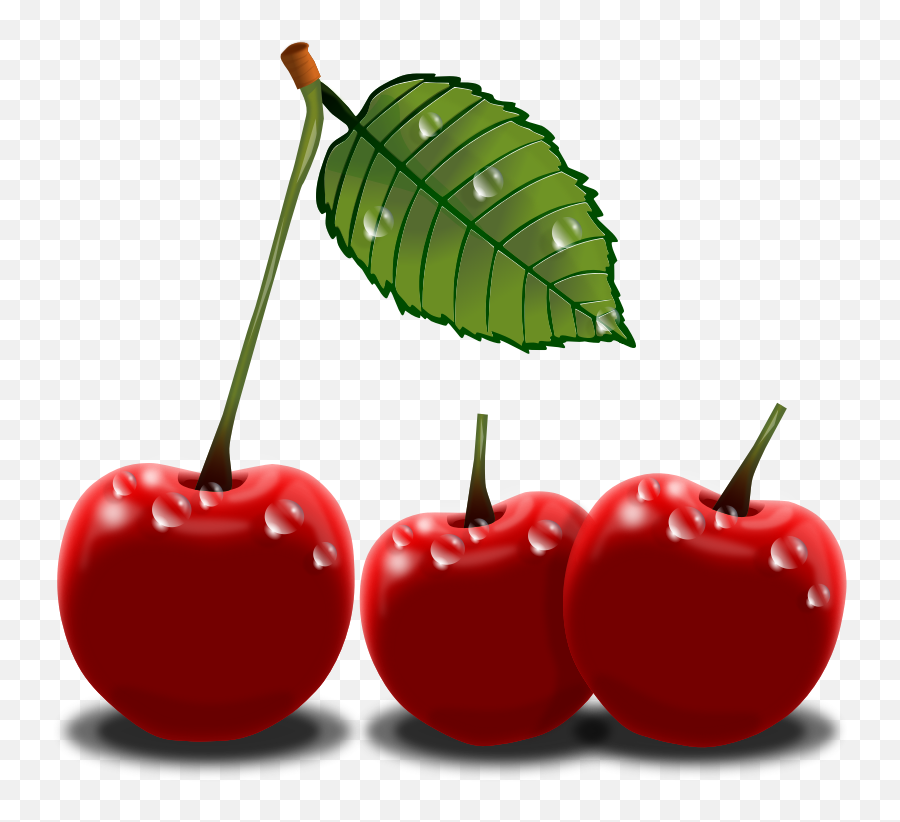 Free Cherry Clipart Png Download Clip Art - Few Cherries Clipart,Cherries Png