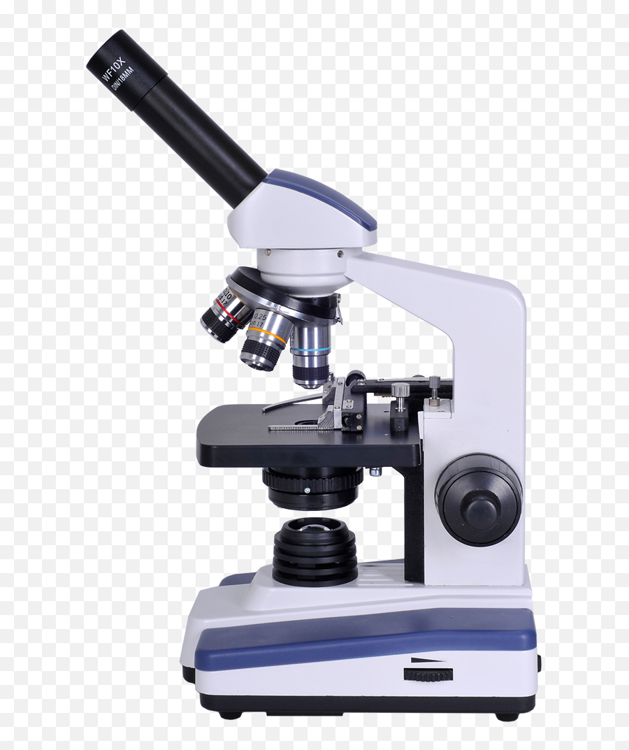 Free Download Clip Art - Transparent Micro Scope Png,Microscope Transparent
