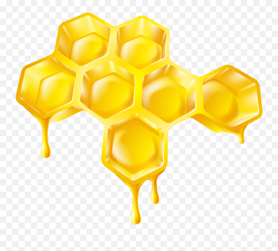Download Soloveika - Cartoon Honeycomb Honeycomb With Honey Dripping Drawing Png,Honeycomb Png