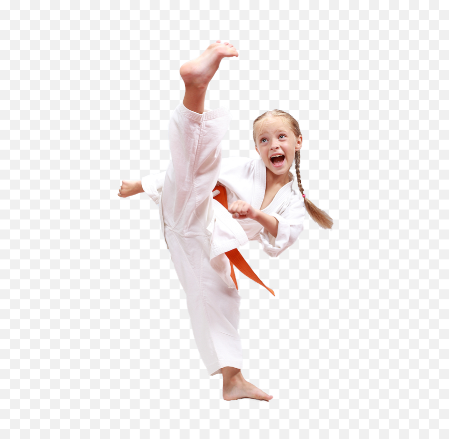 Martial Arts Summer Camp - Karate Kid Png,Martial Arts Png