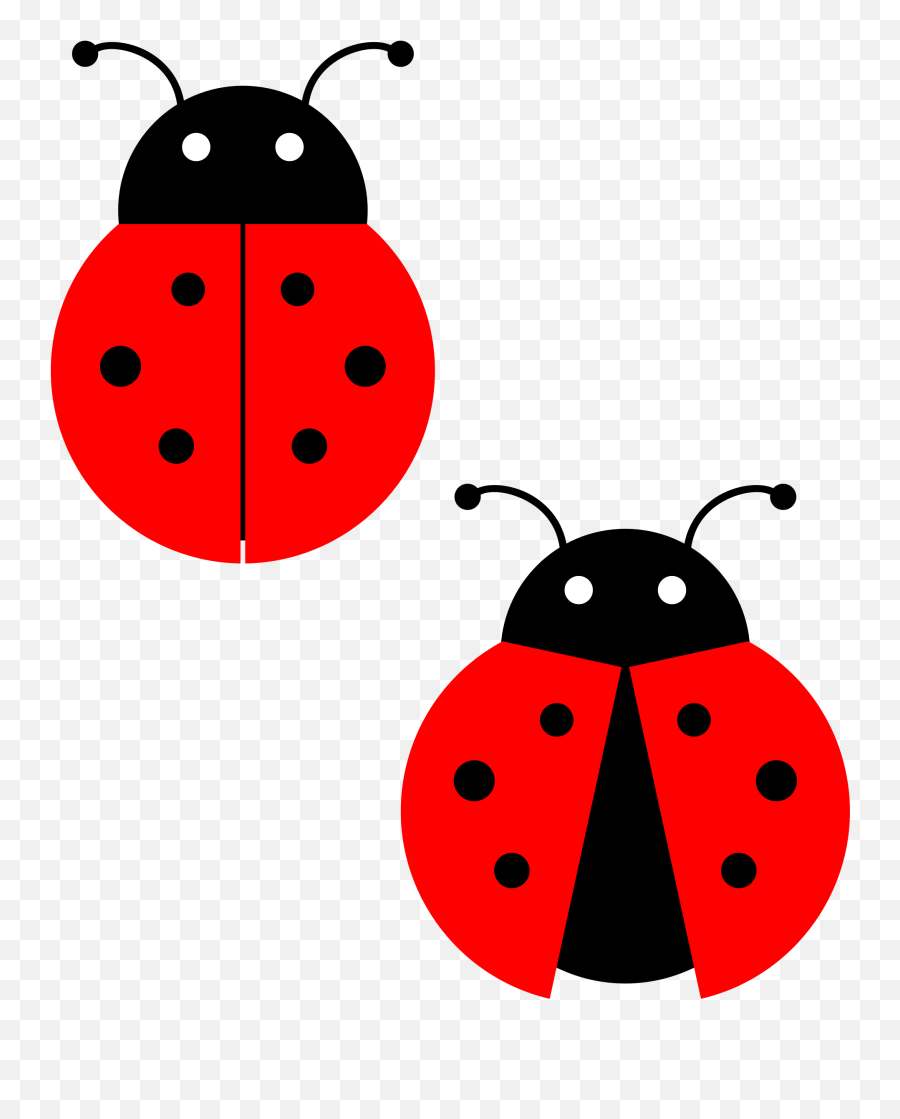 Download Red Ladybug Png Photos For - Cute Clip Art Ladybug,Ladybug Png