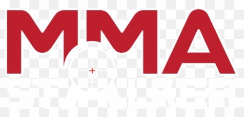 Mixed Martial Arts - Clip png
