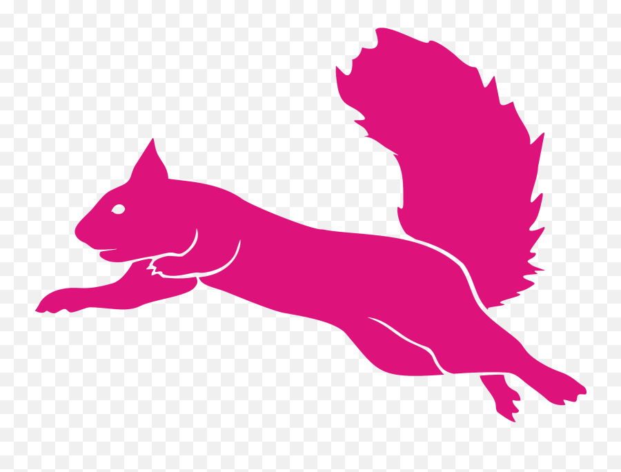 Flying Cat Png - Flying Squirrel Squirrel Logo,Squirrel Logo