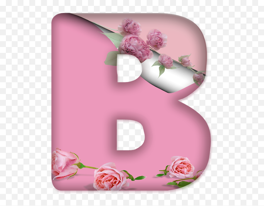 Rosas Png - Blindada Por Deus Alfabeto Decorativo Png,Rosas Png