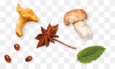 Shiso Leaves Green - Koppert Cress Agaricus Png,Mint Leaves Png
