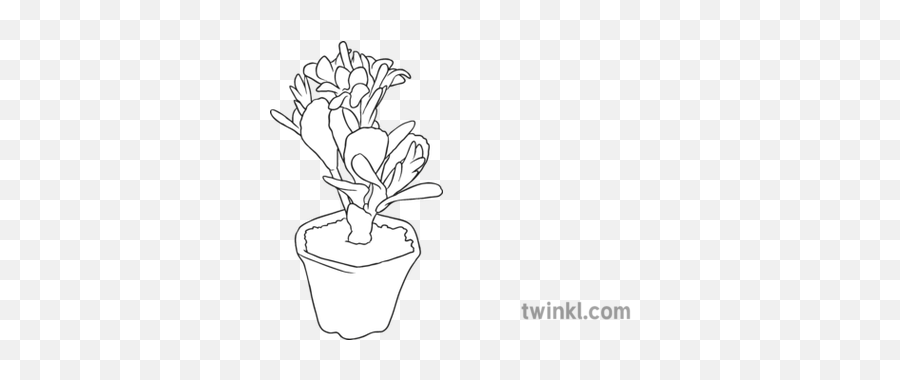 Potted Plant 3 Black And White Illustration - Twinkl Flowerpot Png,Potted Plant Png