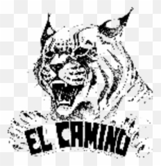 Cropped - Faviconpng U2013 El Camino Wildcat Foundation Ec Wildcat,Wildcat Png