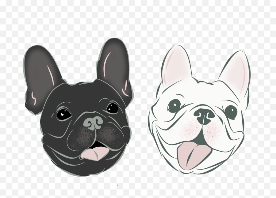 Download Hd You Won Prize - French Bulldog Transparent Png French Bulldog Cartoon Png,French Bulldog Png