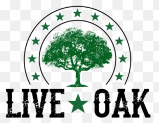Live Oak Bar Grill Menu In Houston - Karlsruhe Eitim Ataelii Logo Png,Live Oak Png