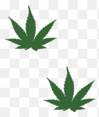 Weed Leaf Transparent Png - Cannabis Leaves Black Drawing Small
