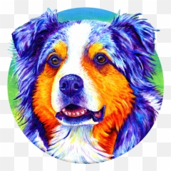 Colorful Blue Merle Australian Shepherd - Northern Breed Group Png,Australian Shepherd Icon