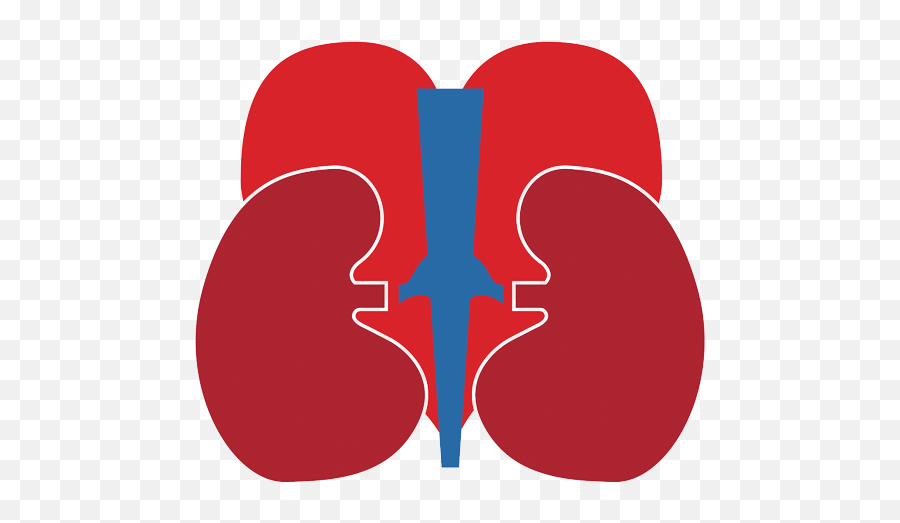 Blog U2013 Yuma Kidney And Dialysis Specialist - Language Png,Weazel News Icon