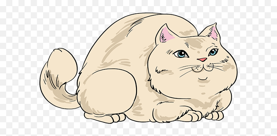 How To Draw A Fat Cat - Really Easy Drawing Tutorial Fat Cat Drawing Png,Fat Cat Icon