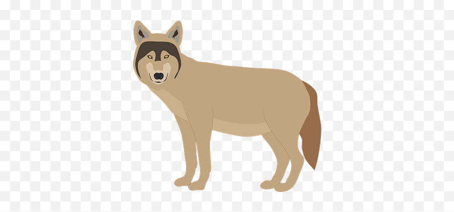 100 Free Wolf U0026 Animal Vectors - Animal Figure Png,Animated Wolf Icon