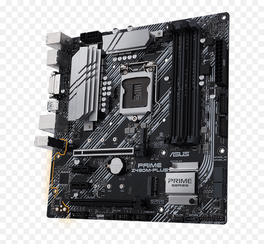 Mainboard 1200 Asus Prime Z490m - Plus Asus Prime Z490m Plus Intel Png,Pawbo Duck Icon