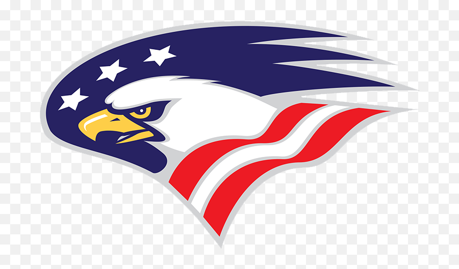 American Flag Sports Logo - Logodix Model Secondary School For The Deaf Logo Png,American Flag Logo