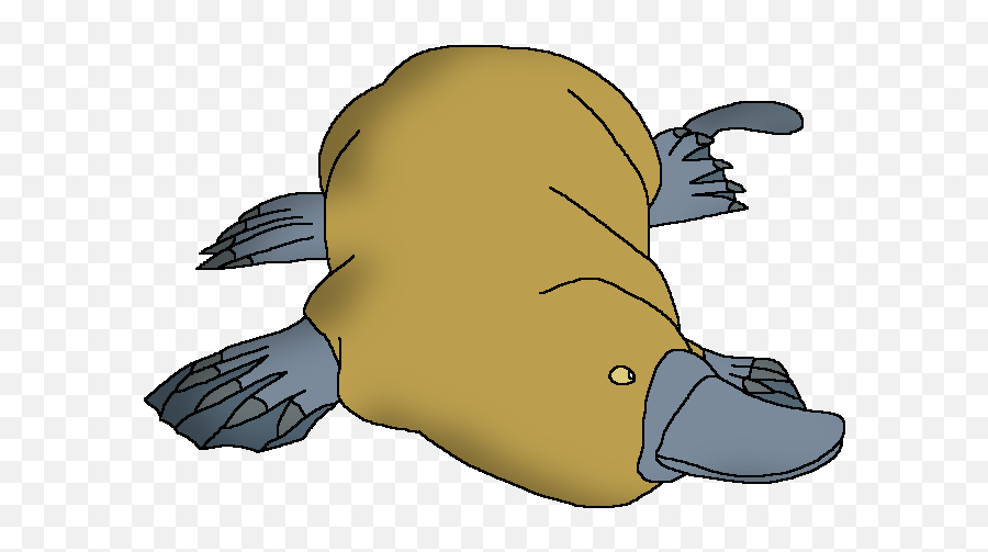 Platypus Wildlife Animal Pedia Wiki Fandom - Cartoon Png,Platypus Png