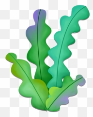 Seaweed Vector Coral Reef - Desenho Algas Marinhas Png Seaweed Cartoon,Seaweed Png