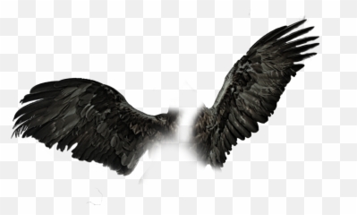 Download Black Wings Png - Transparent Dark
