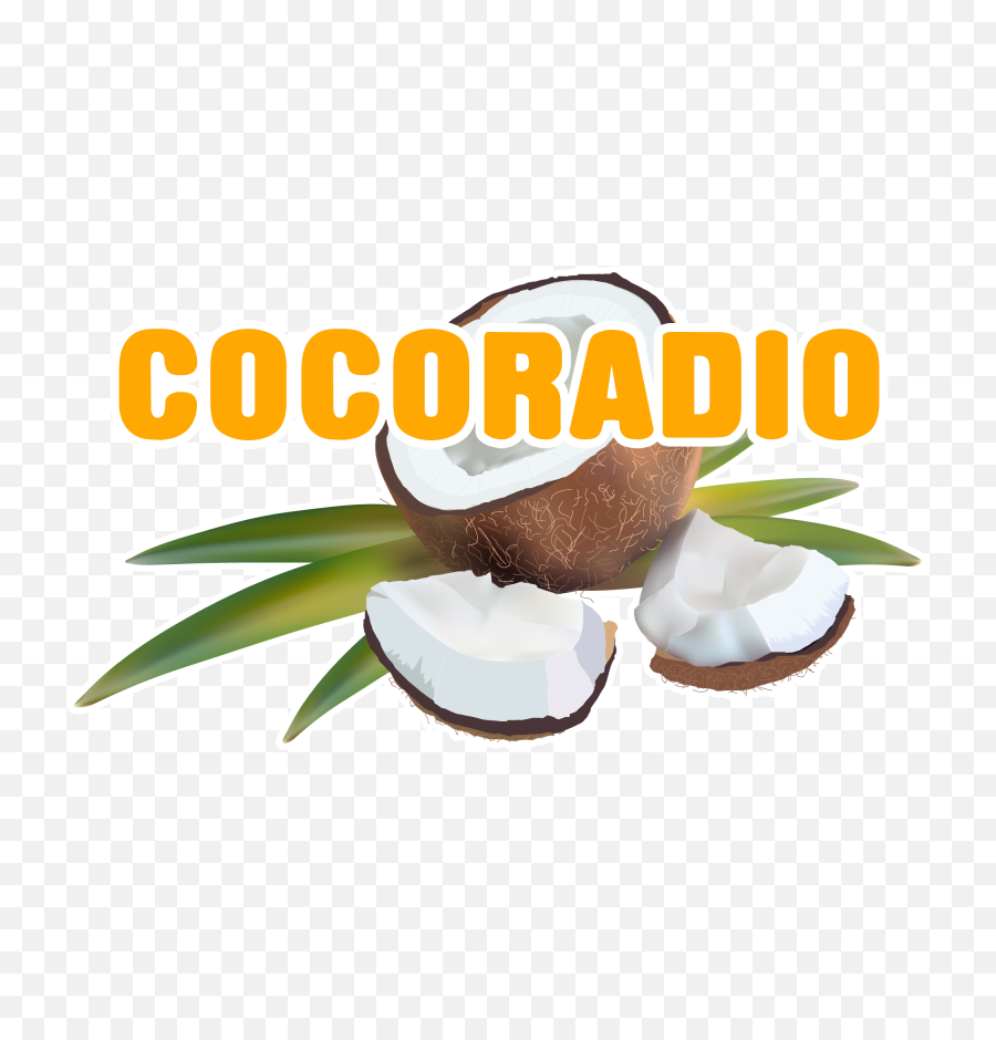 Our Radio Station Logo Audio Stream Urls - Natural Foods Png,Stream Png
