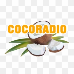 Our Radio Station Logo Audio Stream Urls - Natural Foods png