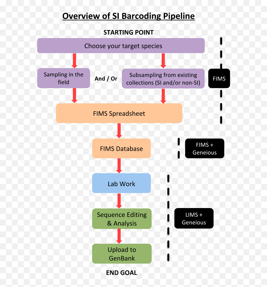 Workflow U2014 Si Barcode Network Informatics Documentation 10 - Barcode Workflow Png,Barcode Transparent Background
